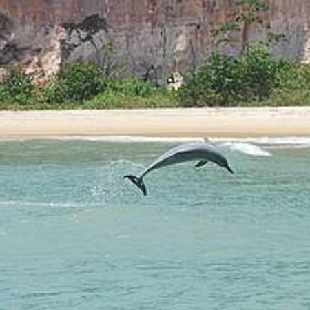 Flat Pipa'S Ocean A Passos Da Praia E Centro Pipa Aparthotel Praia de Pipa ภายนอก รูปภาพ