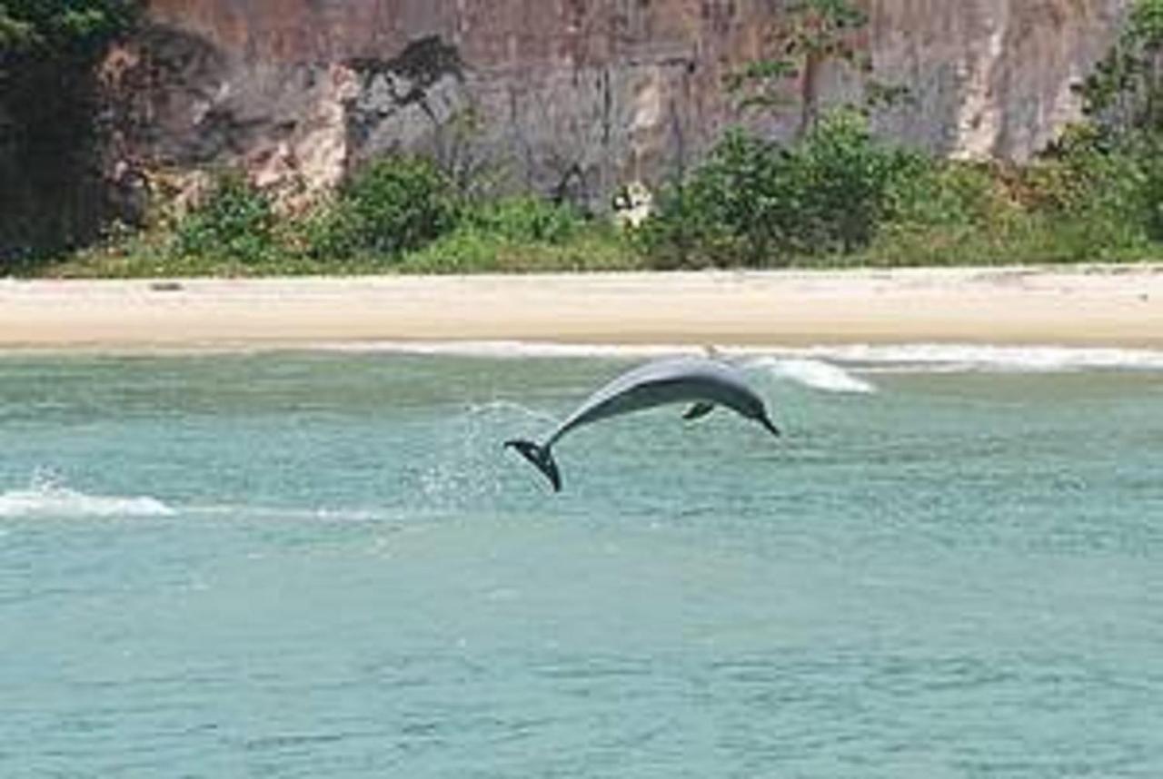 Flat Pipa'S Ocean A Passos Da Praia E Centro Pipa Aparthotel Praia de Pipa ภายนอก รูปภาพ